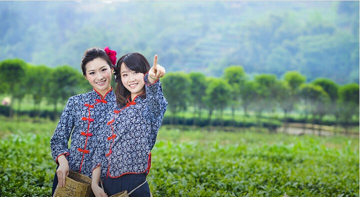 日本老人采樹(shù)葉賺53萬(wàn) 是天價(jià)葉子還是天價(jià)商機(jī)？|餐飲界