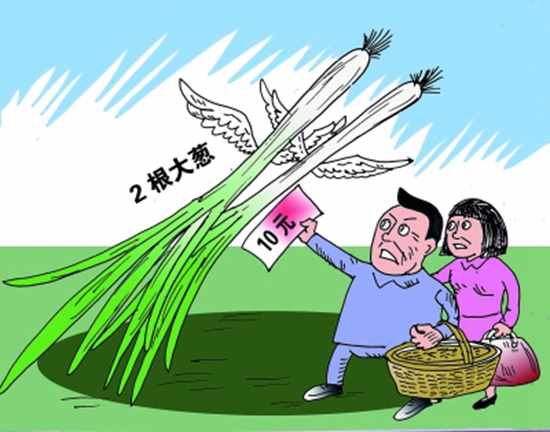 高價蔥提升成本，菜品價到底漲不漲愁壞老板