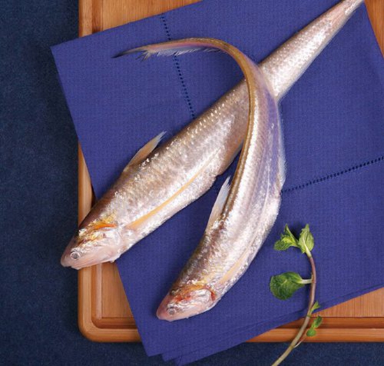 長江刀魚面臨禁捕危機(jī)，價(jià)格暴漲達(dá)4000元一斤