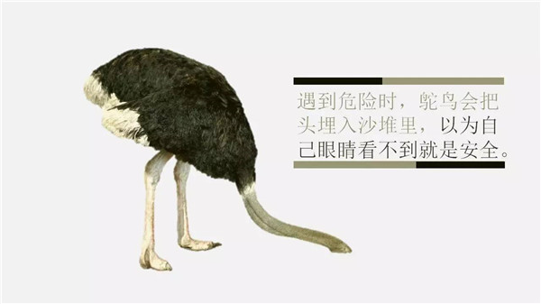 這6個(gè)詞，你誤解了任何一個(gè)，都能讓你錯(cuò)過“風(fēng)口”