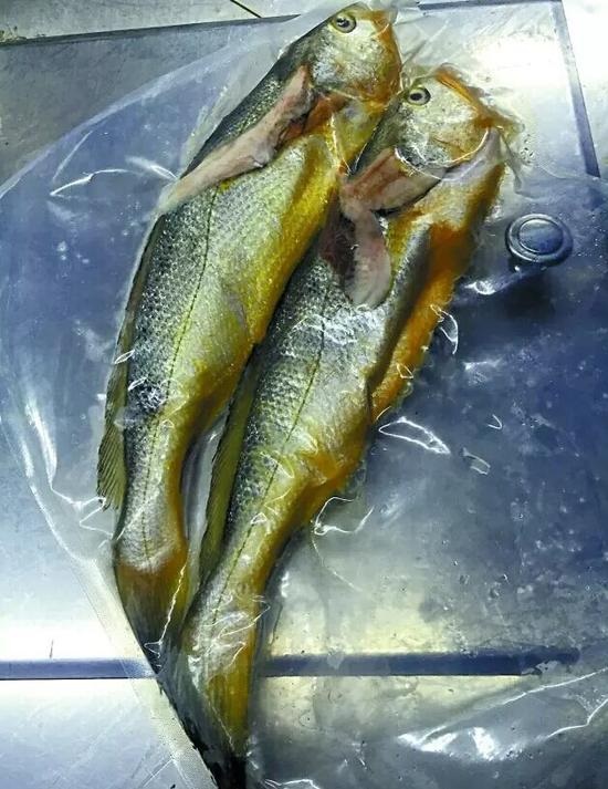 兩條小黃魚(yú)賣(mài)4628元：沒(méi)有菜牌，也沒(méi)有價(jià)格公示