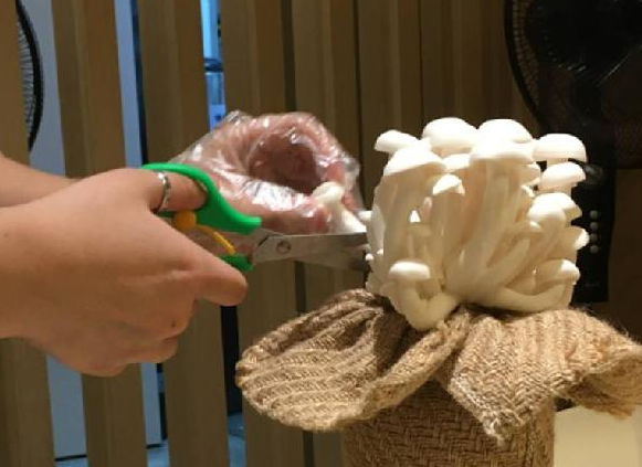 餐飲三巨頭的“爆品”玄機(jī)，其實(shí)就是4個(gè)字|餐飲界