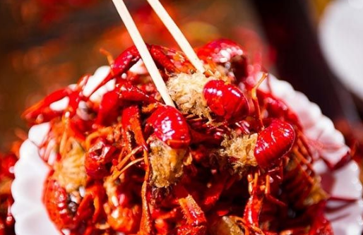 餐飲業(yè)存在很多的偶然性，別迷信成功學(xué)