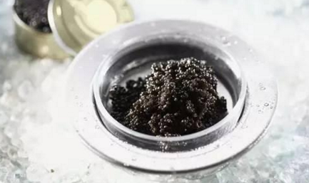 魚子醬到底有多少種？餐飲人快來辨別一下