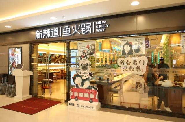 破局傳統(tǒng)營銷思維，看新辣道如何跨界&借勢瘋狂圈粉？ | 案例