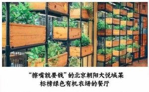 但凡說紙巾要2元的餐廳，我不會去第二次！|餐飲界