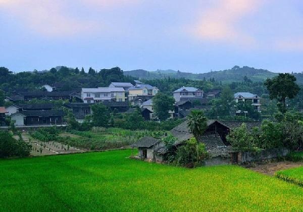 城市水太深，回鄉(xiāng)開餐廳？看完這篇你再做決定……