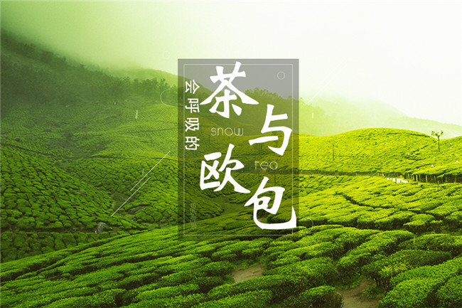 9個月開600家店，漫雪的茶憑啥攻占全國市場？|餐飲界