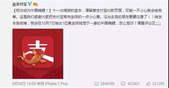 “錦鯉”火了，為什么我不建議跟風(fēng)蹭這個大熱點？