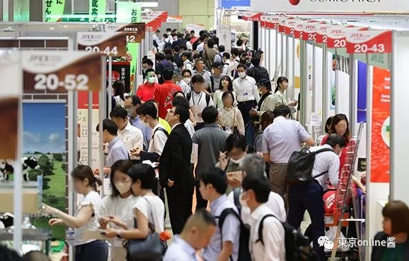 江西天凱樂首秀日本國際食品展，椰子灰冰淇淋榮獲JFEX AWARDS金獎！|餐飲界