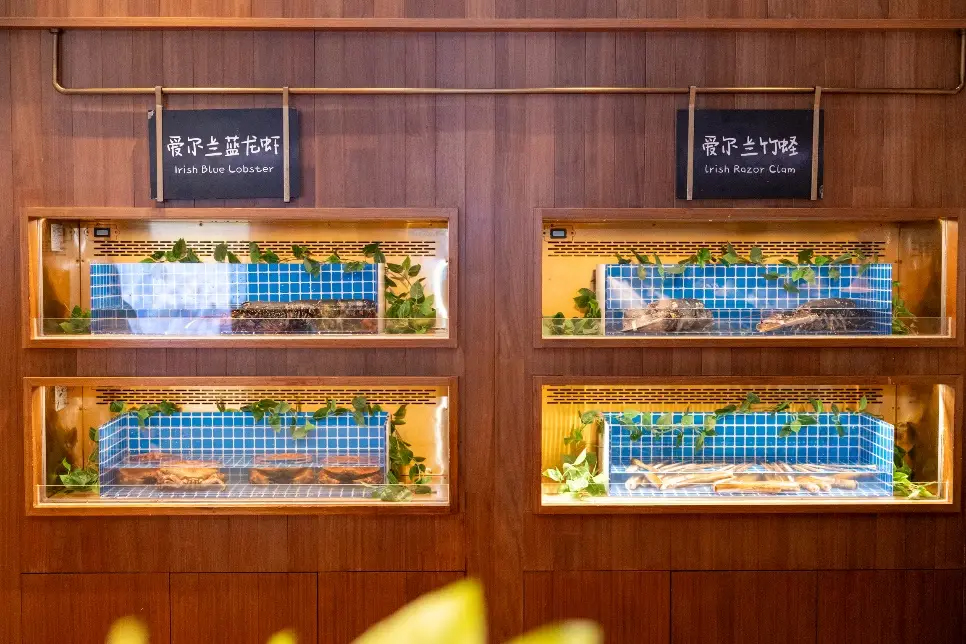 愛爾蘭農(nóng)業(yè)、食品及海事部部長帶團訪華并走訪上海的“愛爾蘭海鮮集市”